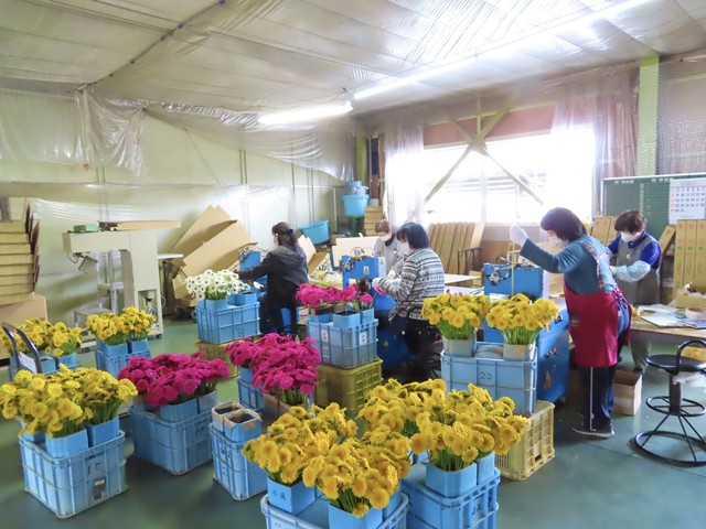 送料込み お花アソート ガーベラ ダリア デルフィニウム スターチス 40本セット Flower Cycle Marche 株式会社rin