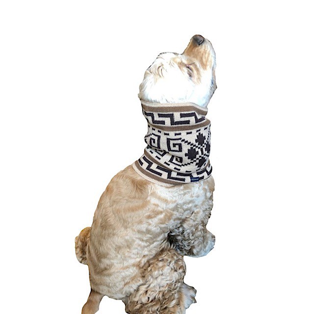 垂れ耳や耳の長いわんちゃんに必須 おしゃれな Pendleton ペンドルトン 犬用スヌード Outtail Dog Outdoor Gear