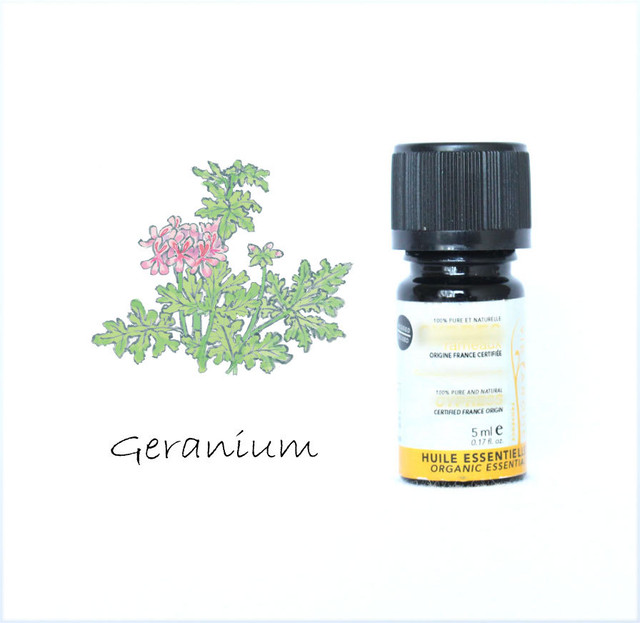 ローズゼラニウムbio 5ml ヴィアローム Kotori Bio Shop