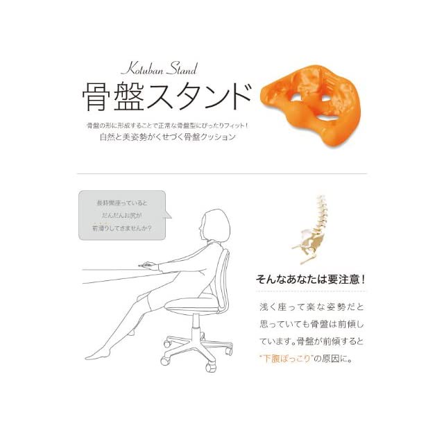 即納 Proidea プロイデア 骨盤スタンド Feel