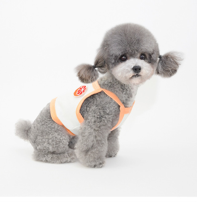 フルーツ ワッペンキャミソール 犬用 犬服 Tanu Maison