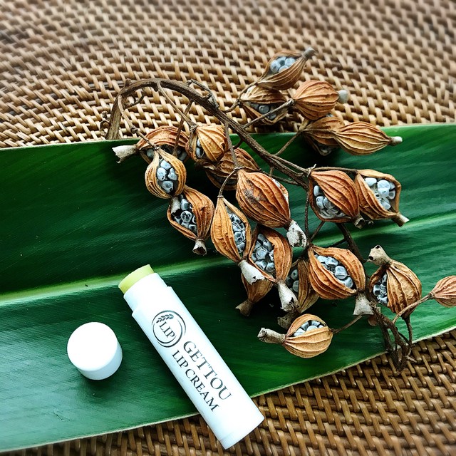 月桃リップクリーム 美味しい 実入り 月桃茶