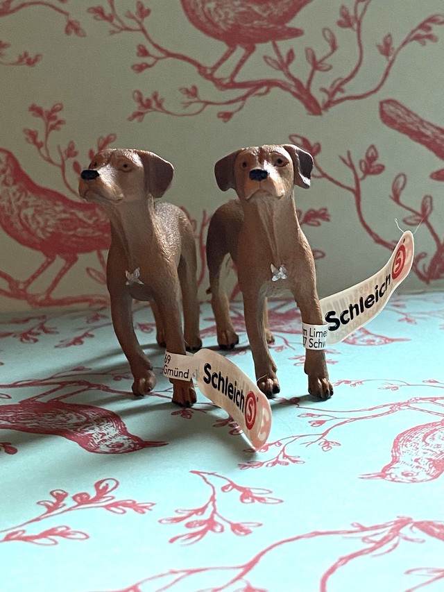 ドイツ フィギュア ローデシアン リッジバック 犬 コチカーニバル