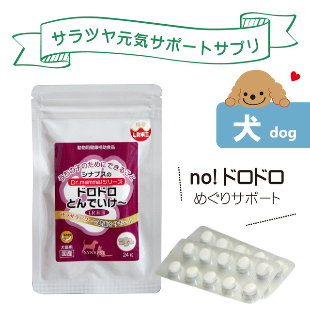 正規販売店 犬 ドロドロとんでいけ 粒入 体重8kgで1日2粒 犬用ｌｒ末 ミミズ食品 老犬 送料無料 健康食品 シナプス 高齢犬 ドッグフード Dr ママルシリーズ ペットサプリメントのお店 Intiniccot いんてぃにこっと