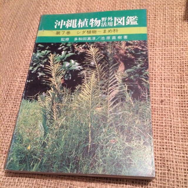 古書 絶版 沖縄植物野外活用図鑑 第7巻 シダ植物 まめ科 池原直樹 Akubishobo 西表島