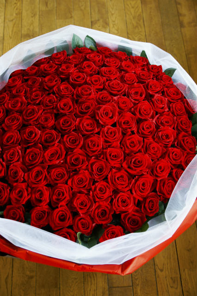 感動の１０８本の薔薇はプロポーズ 結婚してください ハレルゥガーデン