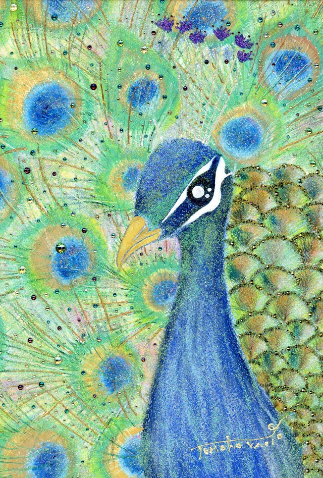 ポストカード 幸運をもたらす孔雀 運気上昇 Yanotomoko Shop Gallery