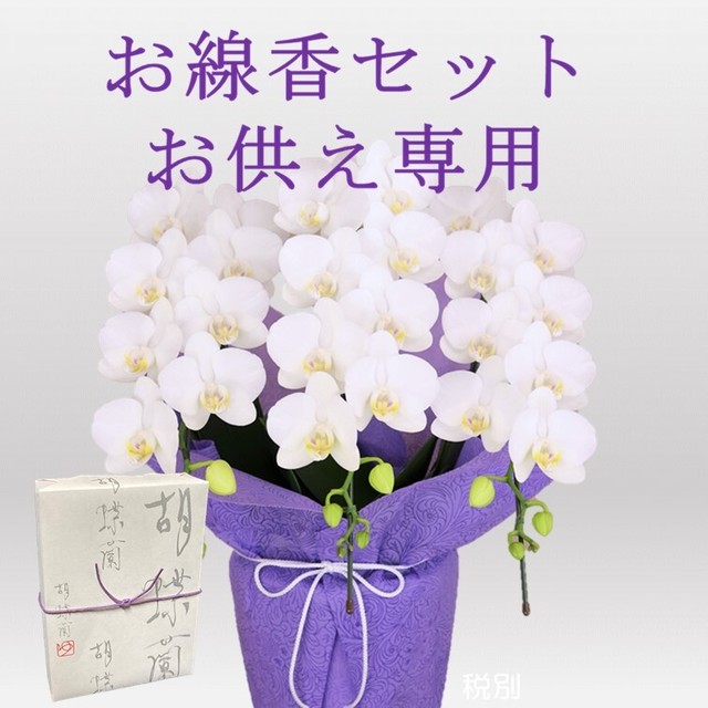 お線香セット お供え 専用 胡蝶蘭 ミディ アマビリス ３本立 ラッピング付き お悔やみ お盆 初盆 新盆 喪中はがき 仏前 霊前 モテギ洋蘭園