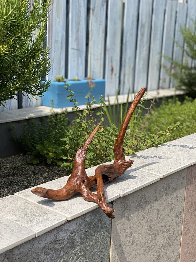 １点物 置き方色々 流木 アート Asahiおおいた