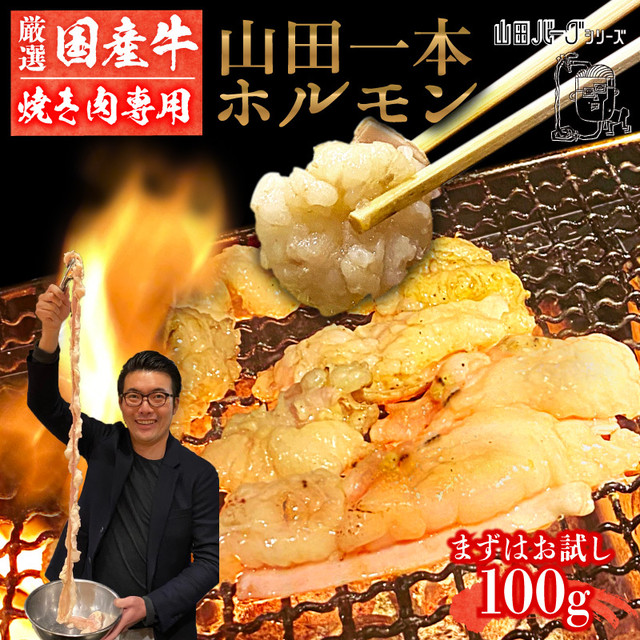 ホルモン お試し 100g 国産 山田一本ホルモン 【焼肉用】