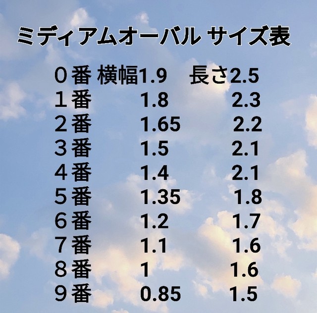 ネイルチップサイズ表 Mikinail
