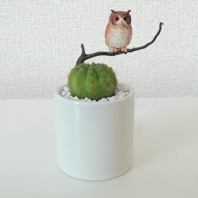 受注生産品 ふくろう丸サボテン7 観葉植物 さぼてん カクタス インテリア グリーン ミニチュア かわいい 動物 フィギュア 三和ポチット