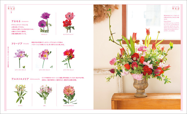 フローリスト 21年3月号 Aeaj Seibundo