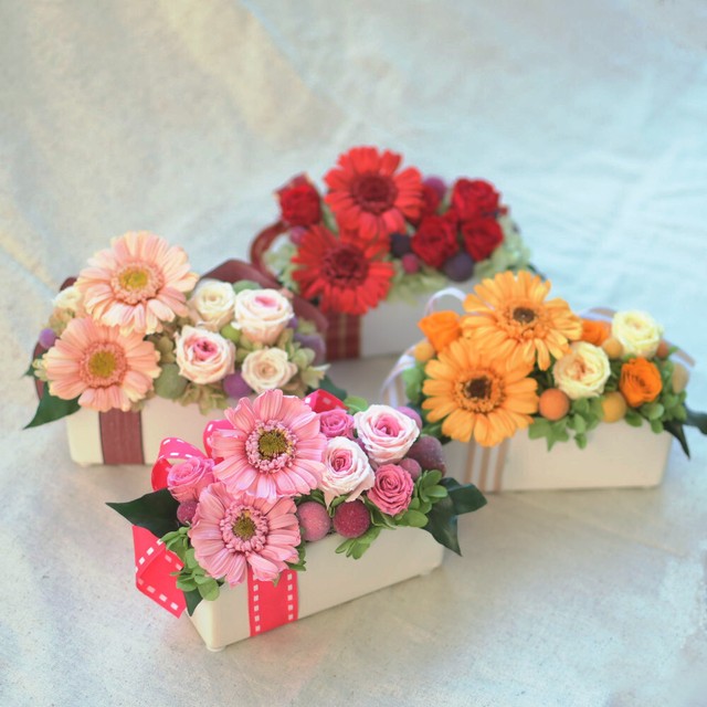 ガーベラ プリザーブドフラワー 色が選べるアレンジ Luce ケース入 母の日 誕生日祝い 結婚記念日 開店祝い Hanaco プリザーブドフラワーはなこ