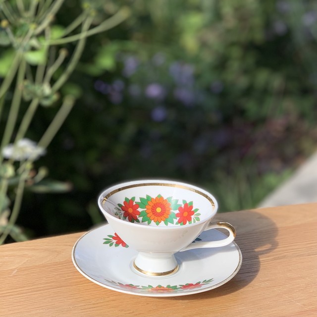 Bavaria Winterling Cup Saucer ドイツのビンテージ食器 カップ ソーサー Alt Und Neu アルトウントノイ