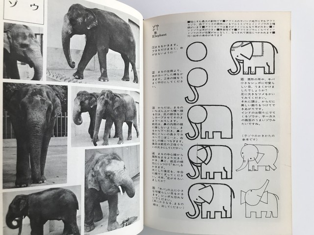 たのしい動物のかきかた集 Julybooks 七月書房