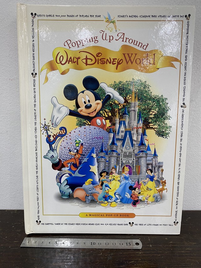 洋書ディズニー Popping Up Around Walt Disney World Zbooks
