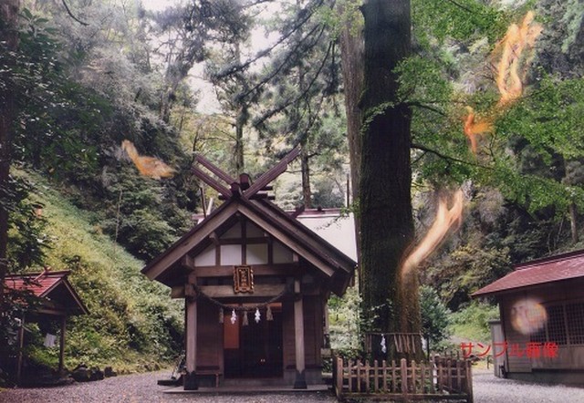 奥高千穂の神社 秋元隆良氏の縁起の良い奇跡の開運写真 開運グッズ販売 はじめの一歩