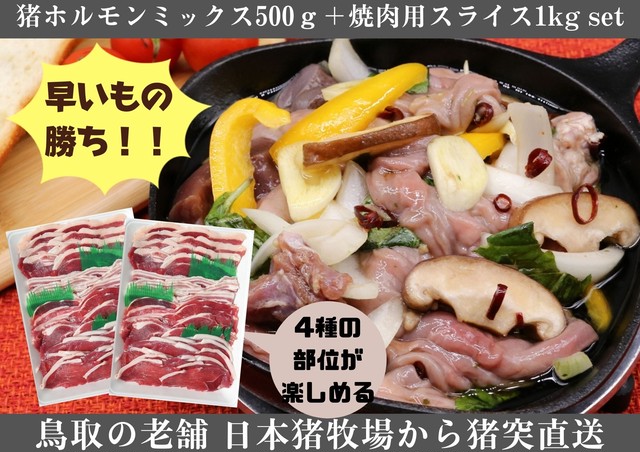 鳥取県産天然猪肉ホルモンミックス500ℊ+焼肉用ミックススライス1kgセット【2名様限定】