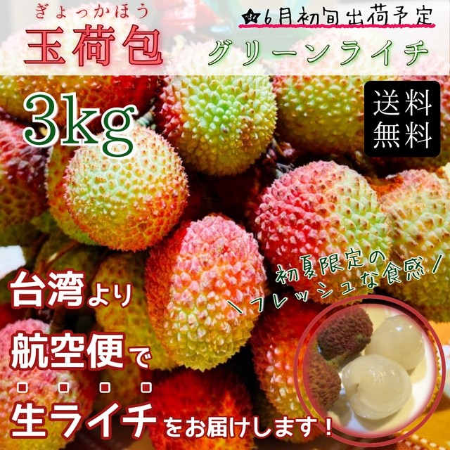 予約 6月初旬発送 台湾産 玉荷包 生ライチ 3kg 入 送料無料 茉莉商店