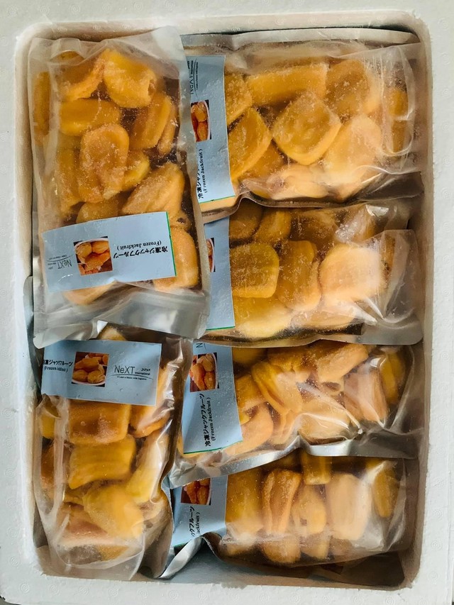 ベトナム冷凍ジャックフルーツ Vietnam Frozen Jack Fruit 15kg Vietnam Foods ベトナム食材専門店