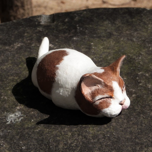 眠り猫 シロチャ 百ねこ亭