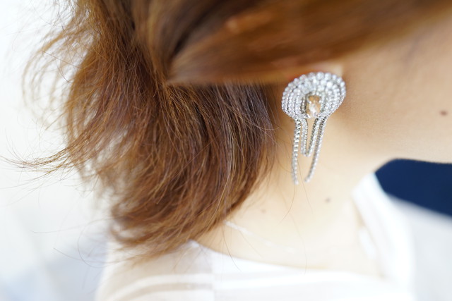 【刺繍イヤリング】 StoneChain x Pearl silver✴︎