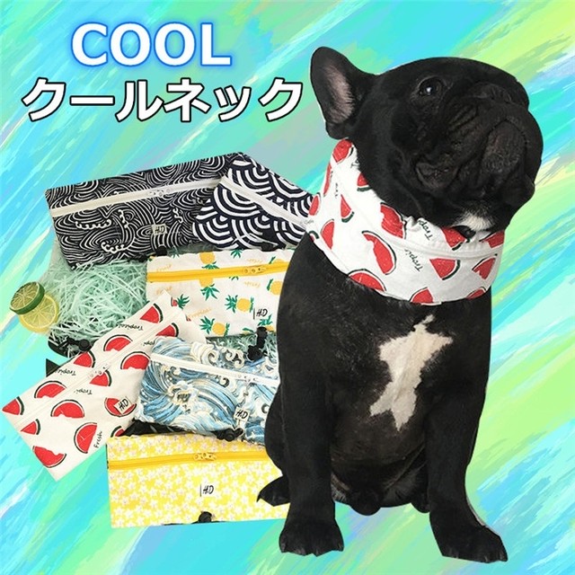 9 1 9 7期間限定価格 Km501g クールネック クールスヌード 熱中症対策 犬用 フレブル Dearkm フレンチブルドック孔明