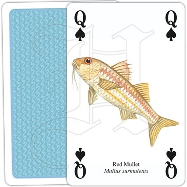 トランプ 魚 Heritage Playing Card Company P 英国雑貨専門店ブリティッシュ ライフ