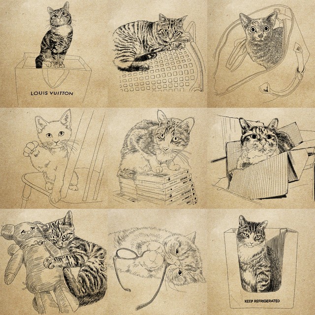 猫の手描きイラスト 似顔絵の背景 小物追加オプション 猫雑貨 グッズ通販 猫や動物イラスト 似顔絵作成 365cat Art