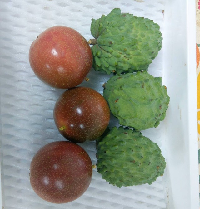 最後 沖縄本島産 冬の人気no 1セット アテモヤ パッションフルーツ ２種秀品 Adan Okinawa アダン沖縄 Base店 熱帯フルーツ 島野菜 沖縄特産品 ちょっとお取り寄せ