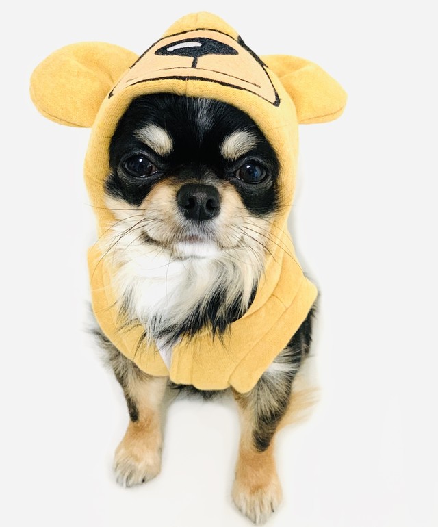 Smillbear Hoodbest Beige 犬服 人気 犬の服 おしゃれ ドッグウェア 小型犬 犬服ブランド Chicc ドッグウェアブランド