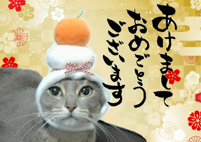 鏡餅のかぶりもの 帽子 犬用 猫用 コスプレ Beatitudo Studio