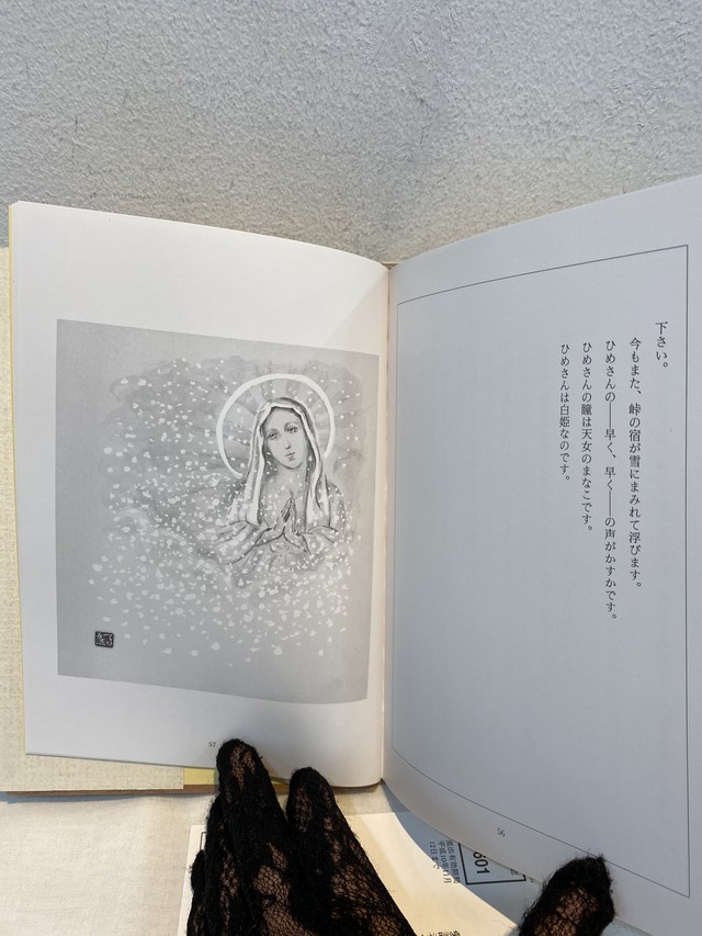 白姫抄 おとなのえほん Zbooks