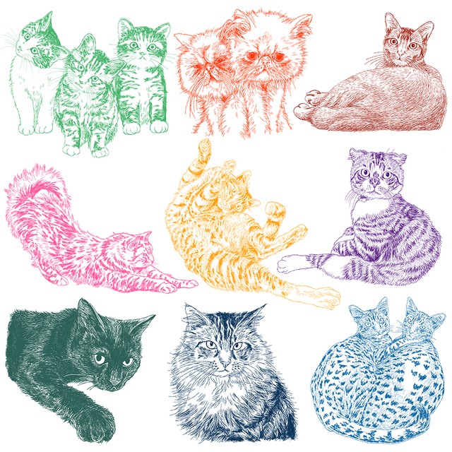 猫の手描きイラスト 似顔絵カラー線変更オプション 猫雑貨 グッズ通販 猫や動物イラスト 似顔絵作成 365cat Art