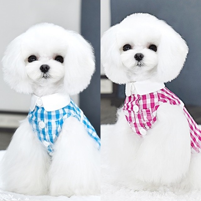 即納 日本初上陸 犬服 Peekapoodle ギンガムチェックシャツ ワンピース 犬の服 Peekapoodle Japan