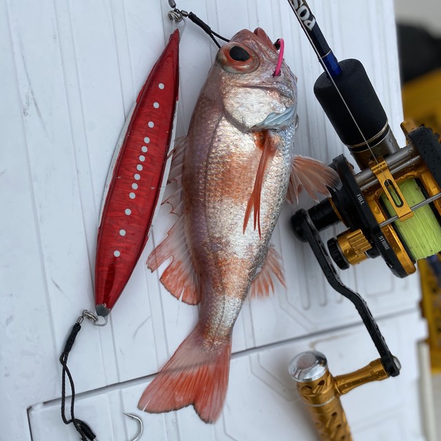 P J Ride 300g Reals ジグ 近海 中深海 マグロジギング 遠征 スロージギング専用 Red Fish Blue Fish 手巻き深海 専門店