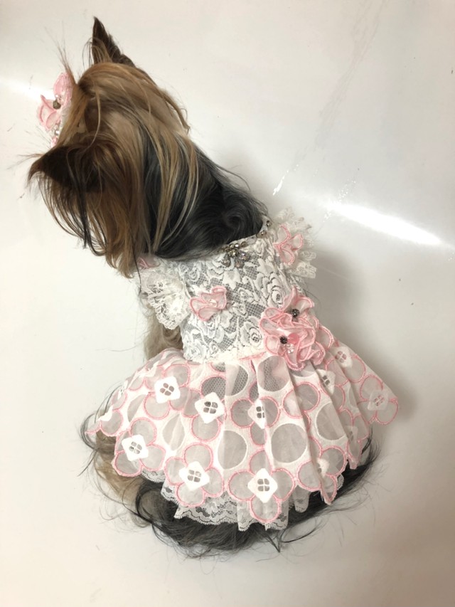 犬服オーダー フラワーラブリーワンピース Dogdress Ari Ra