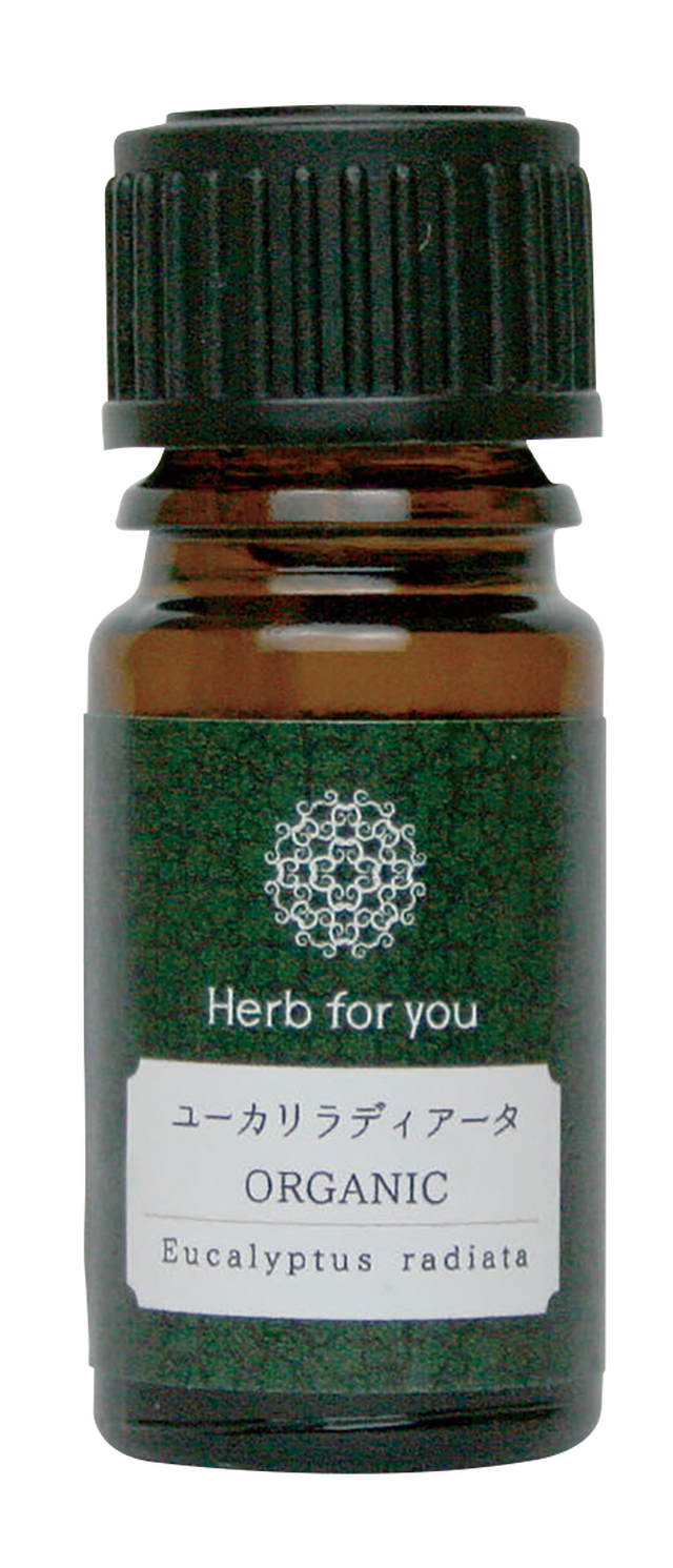 ユーカリラディアータ Organic Herb For You