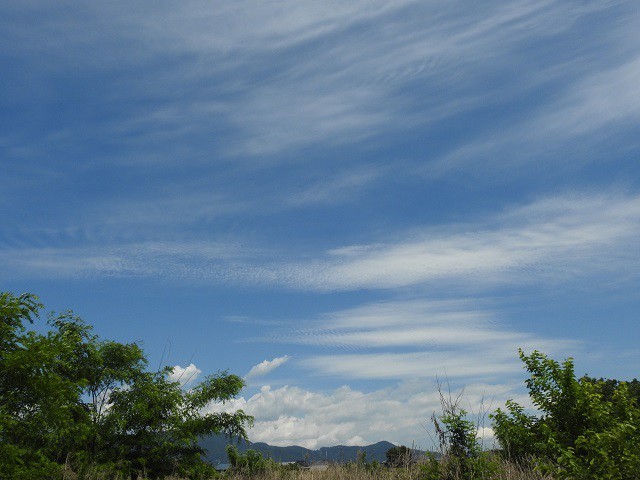 6月の風景写真 写真屋 ５ 風景