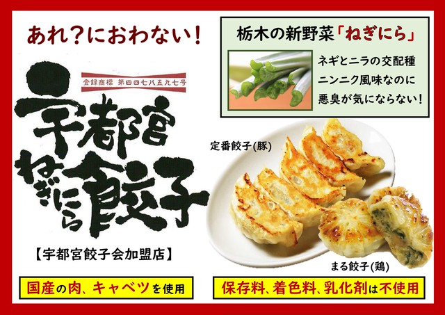 60個 宇都宮ねぎにら餃子 定番餃子 冷凍 Utsunomiya Neginira Gyoza