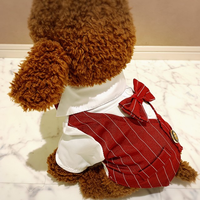 犬服 猫服ペット服 ウェディング 結婚式 フォーマル タキシード赤 S Xxl Ronkichimaru ロンキチマル かわいい犬服 猫服 ペット服