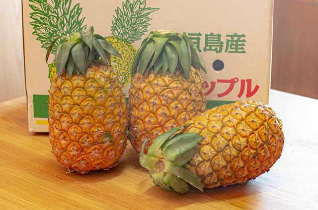 減農薬 島パイン ハワイ種 約2 5キロ 2 3個 石垣島のフルーツ農園フォーユー