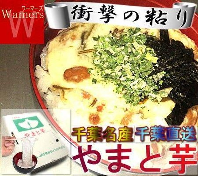 大和芋 千葉県直送 4kg 圧巻の粘り 通常の山芋の非ではありません 佐倉 印旛 千葉ミドリ 産地から玄関へ 全国より厳選した旬の果物 野菜をお届け