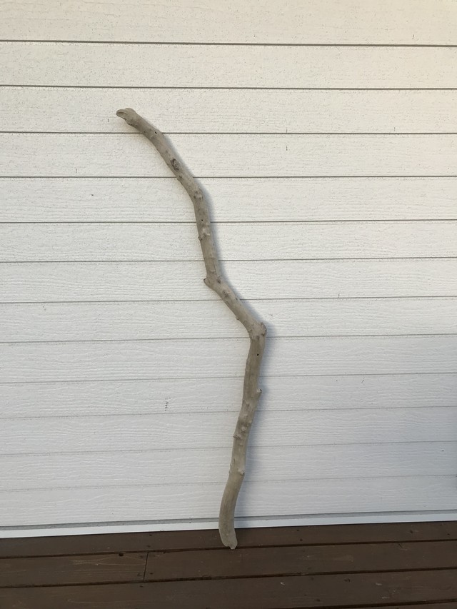 流木 長さ126センチ 直径4センチ 造形美 Marine Branch