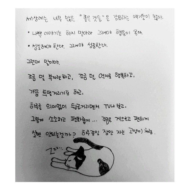 韓国語翻訳 ファンレター代行サービス 29cats Goods