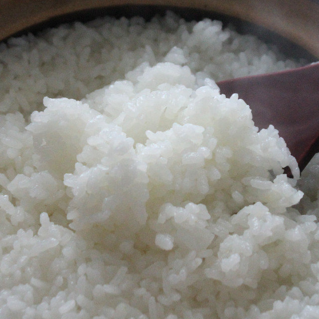 美し米 美山産コシヒカリ1 kg 精米