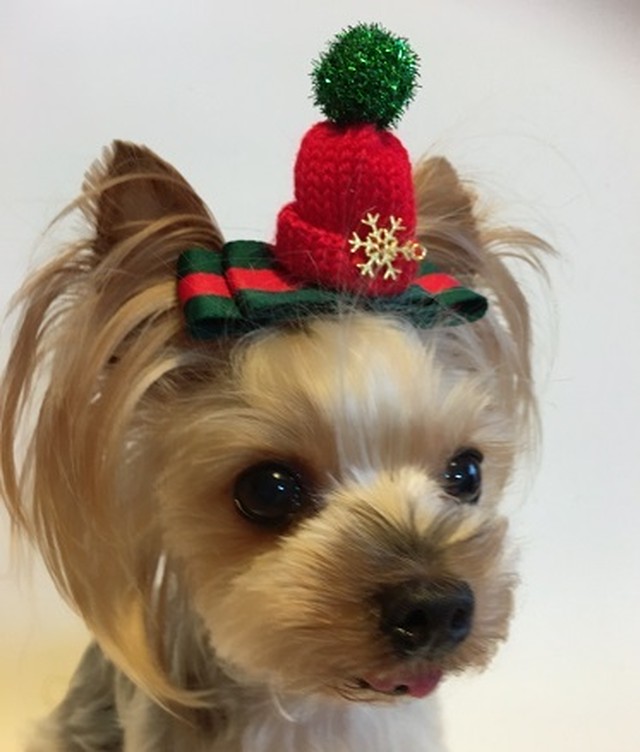 犬用アクセサリー クリスマスニット帽リボン Dogdress Ari Ra