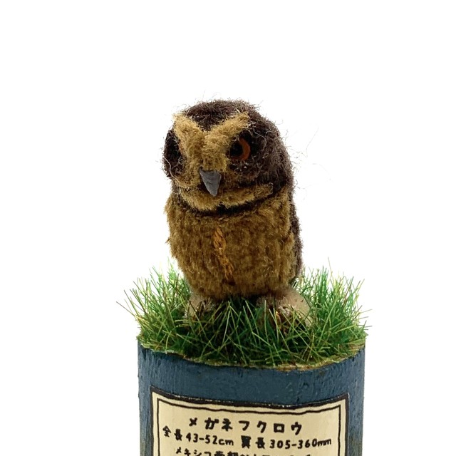 【フジタサンプル】ふくろうずかん メガネフクロウ