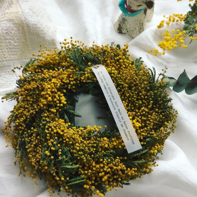 展示のみ 国産フサアカシアのリースミモザ ドライフラワー工房 Atelier De Sarah